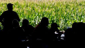 Farmer in front of field of corn