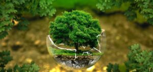 Image of a tree in a sphere.