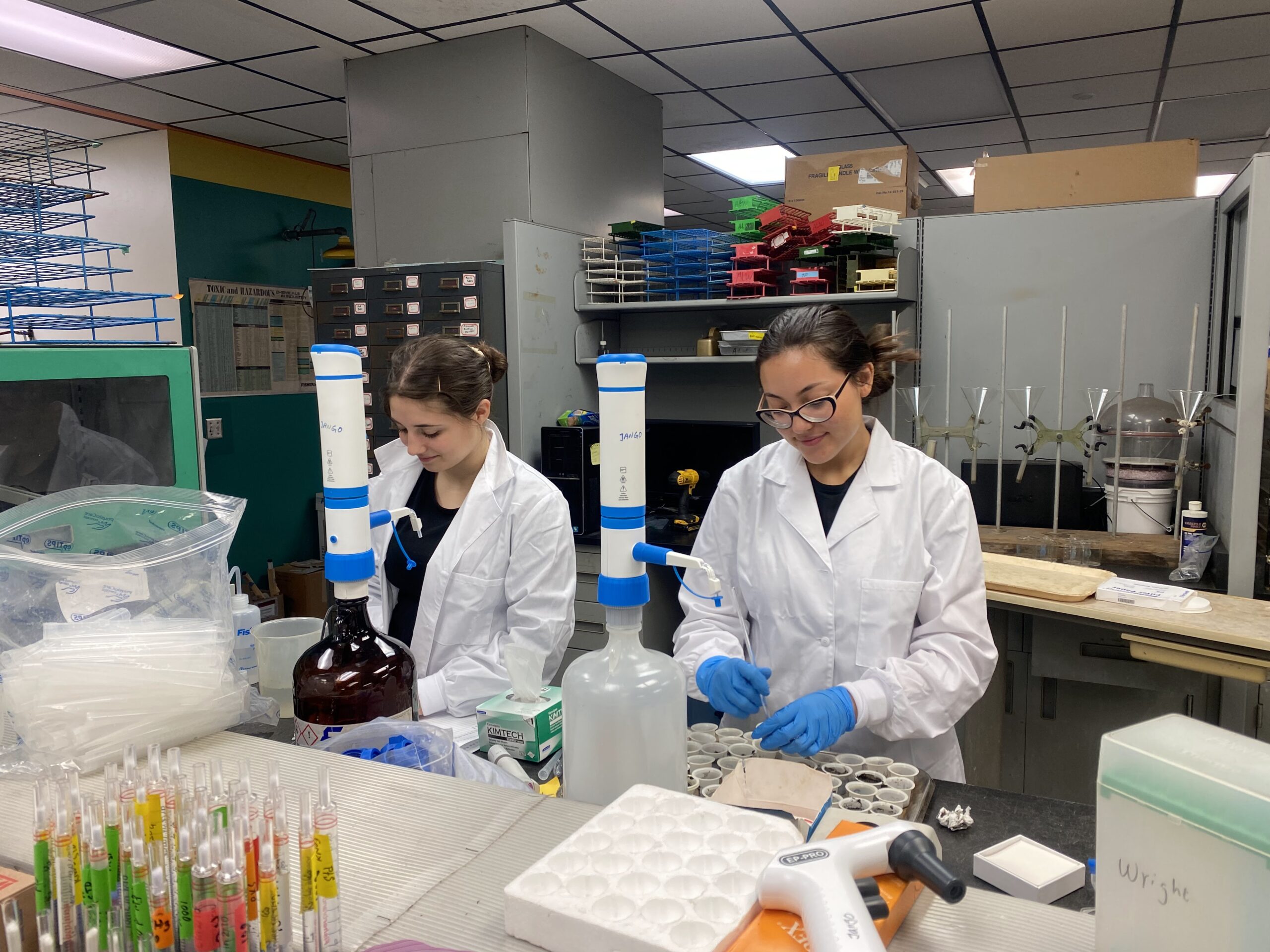 Two researchers working in a lab setting.