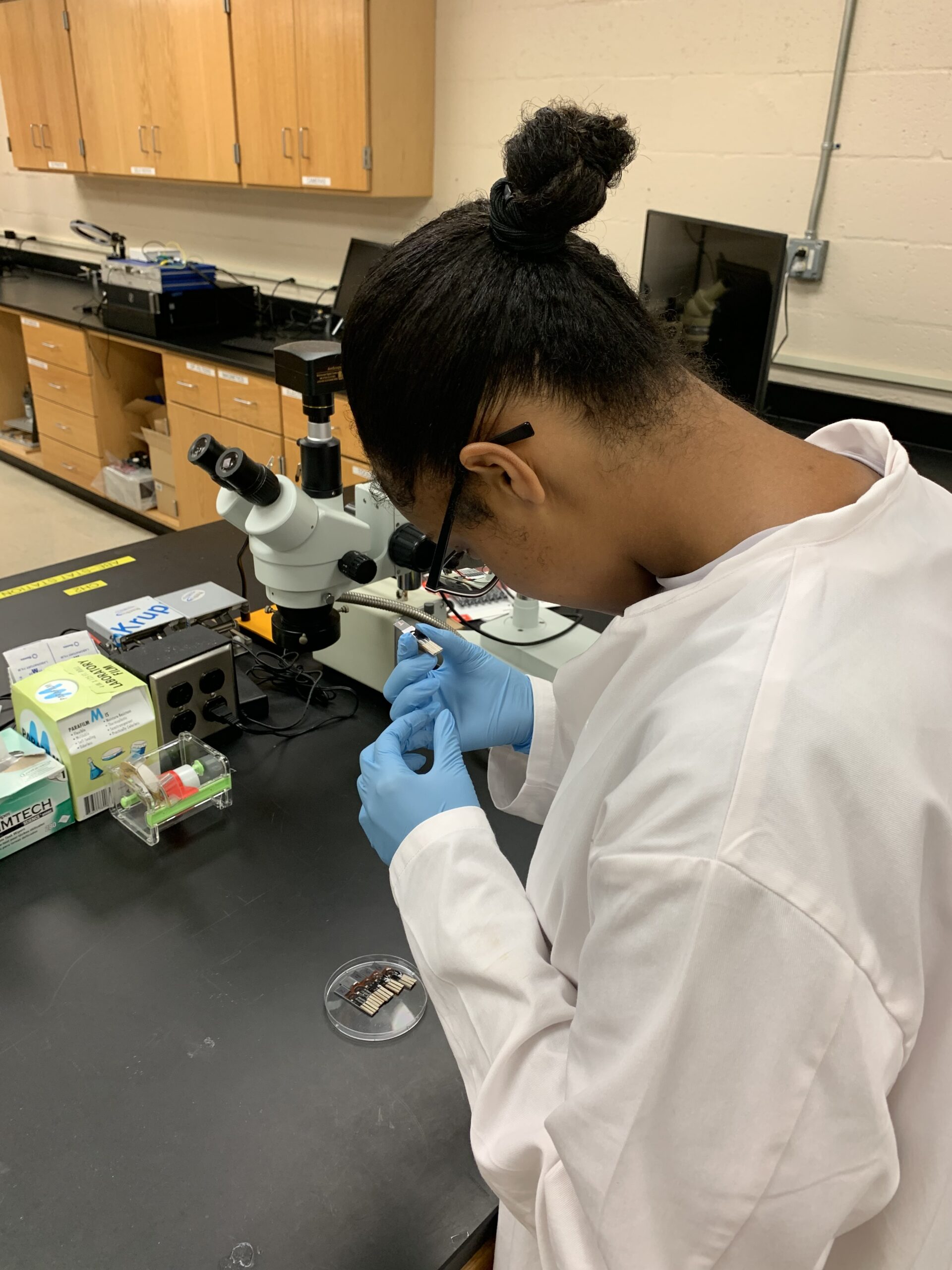 Students working in the lab