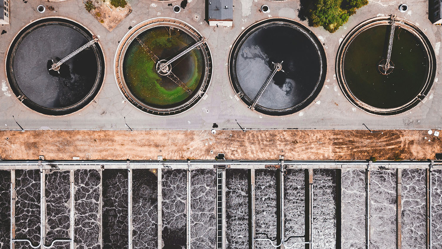 Water in treatment tanks. The second well from the left is green.