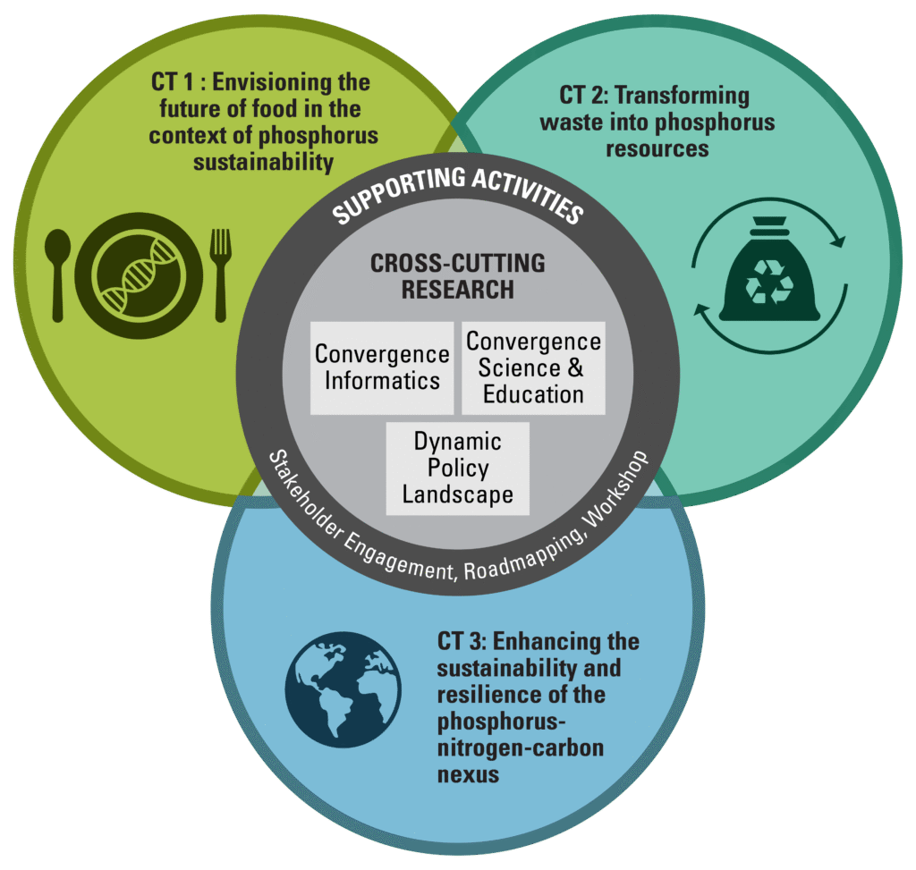 Schematic illustration of STEPS Convergence-research Themes (CTs): CT 1 - Envisioning the future of food in the context of phosphorus sustainability, CT 2 - Transforming waste into phosphorus resources,  CT 3 - Enhancing the sustainability and resilience of the phosphorus-nitrogen-carbon nexus. Cross-cutting research themes (Convergence Informatics, Dynamic Policy Landscape, Convergence Science & Education) draw upon interdisciplinary expertise to enhance convergence research for phosphorus sustainability through supporting activities (lost phosphorus, roadmapping, circular bioeconomy).